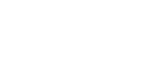 LiveChat Partner