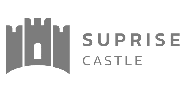 surprise_castle