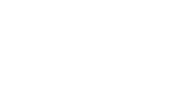 LiveChat Partner